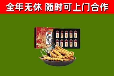 衡阳回收冬虫夏草价格