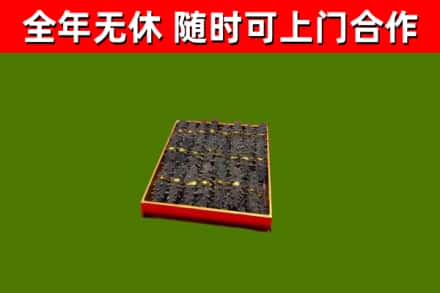 衡阳回收海参
